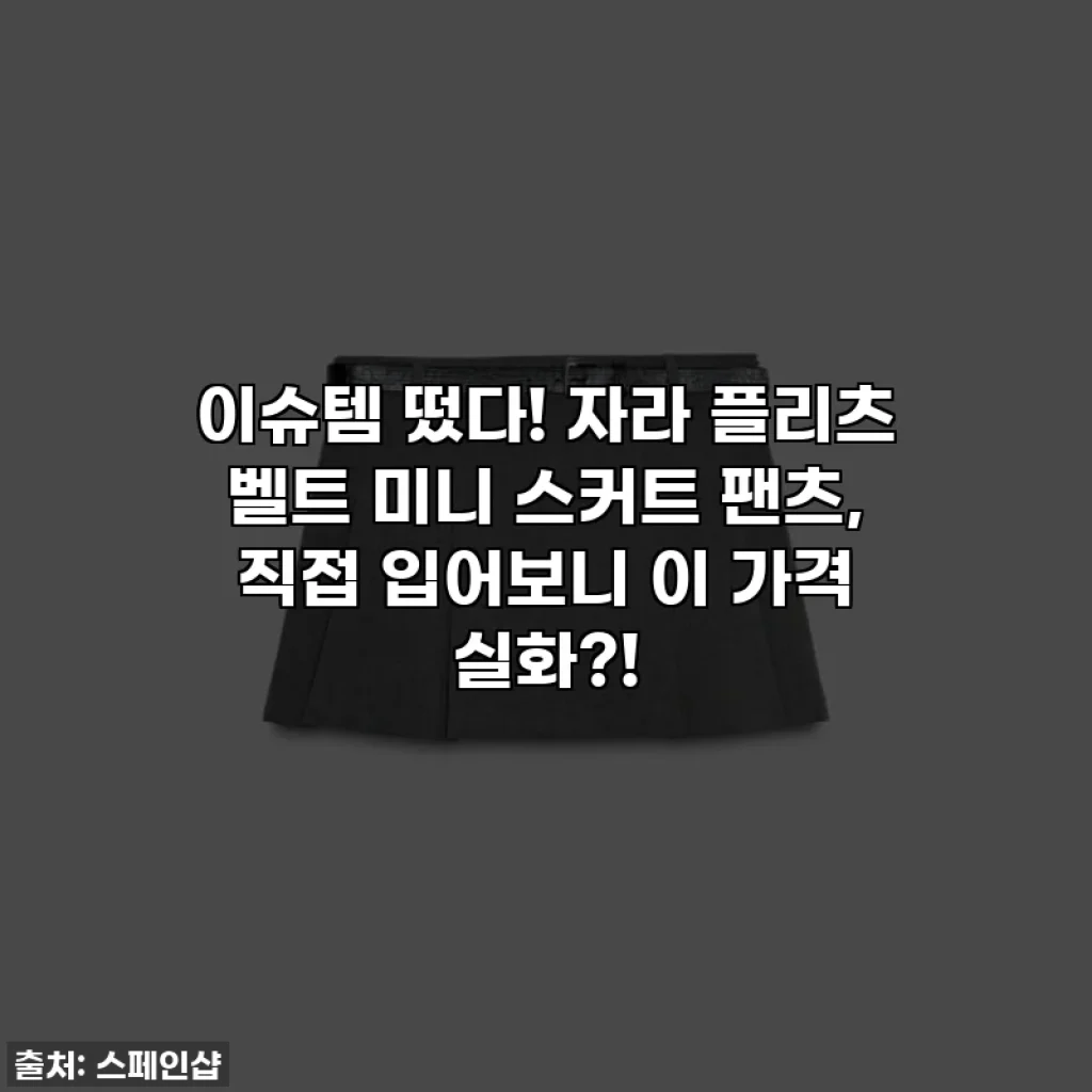 이슈템 떴다! 자라 플리츠 벨트 미니 스커트 팬츠, 직접 입어보니 이 가격 실화?!