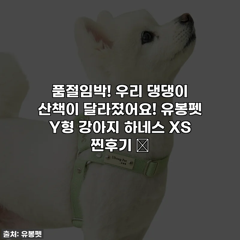 품절임박! 우리 댕댕이 산책이 달라졌어요! 유봉펫 Y형 강아지 하네스 XS 찐후기 ✨