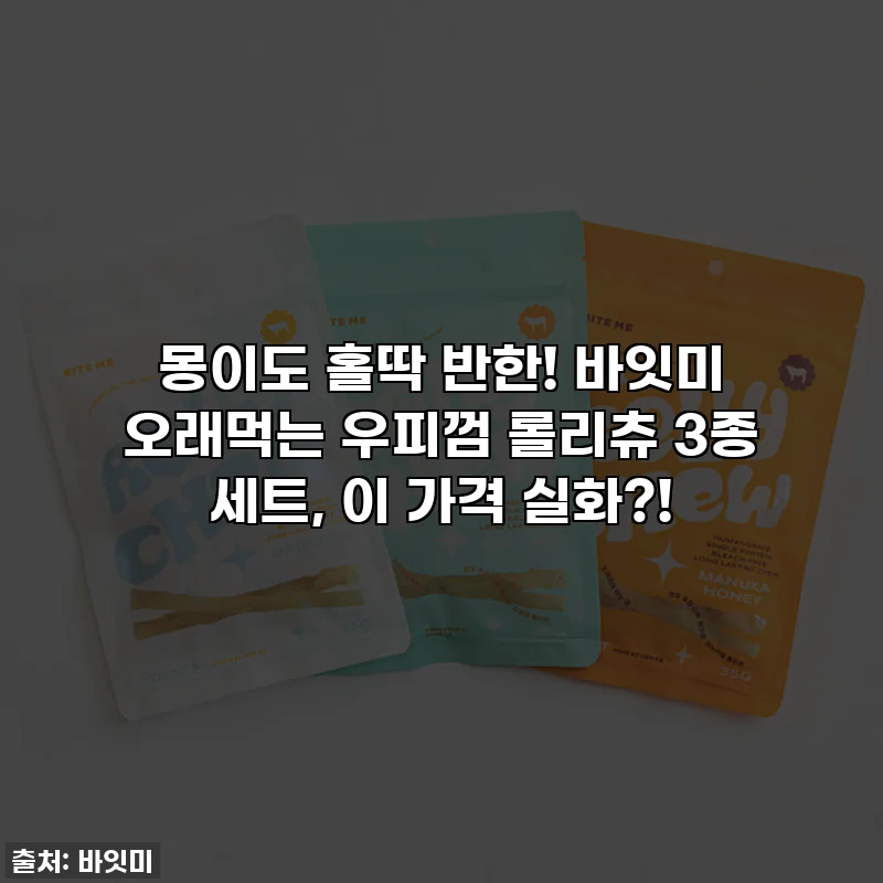 몽이도 홀딱 반한! 바잇미 오래먹는 우피껌 롤리츄 3종 세트, 이 가격 실화?!