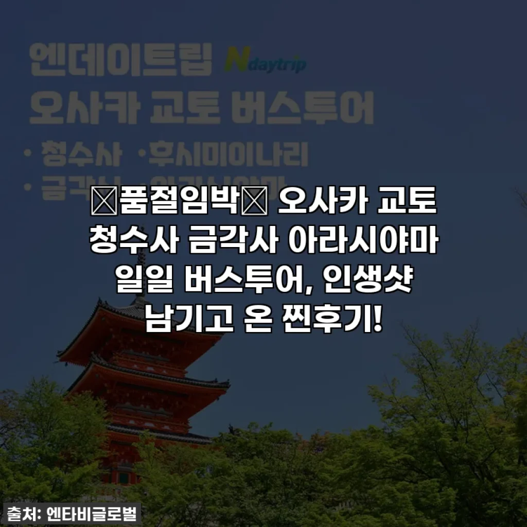 🔥품절임박🔥 오사카 교토 청수사 금각사 아라시야마 일일 버스투어, 인생샷 남기고 온 찐후기!