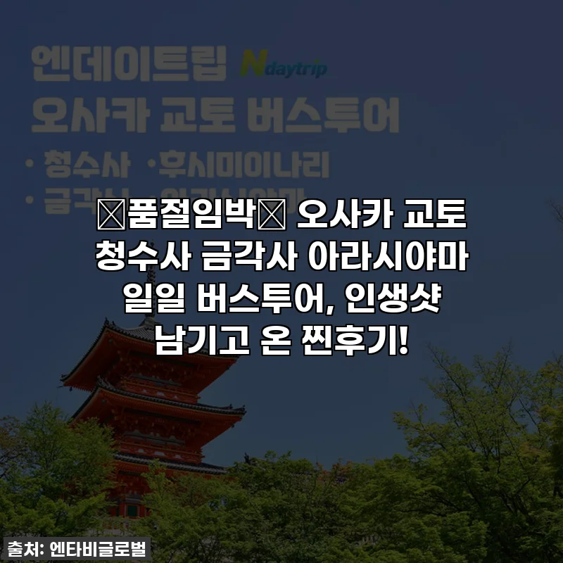 🔥품절임박🔥 오사카 교토 청수사 금각사 아라시야마 일일 버스투어, 인생샷 남기고 온 찐후기!