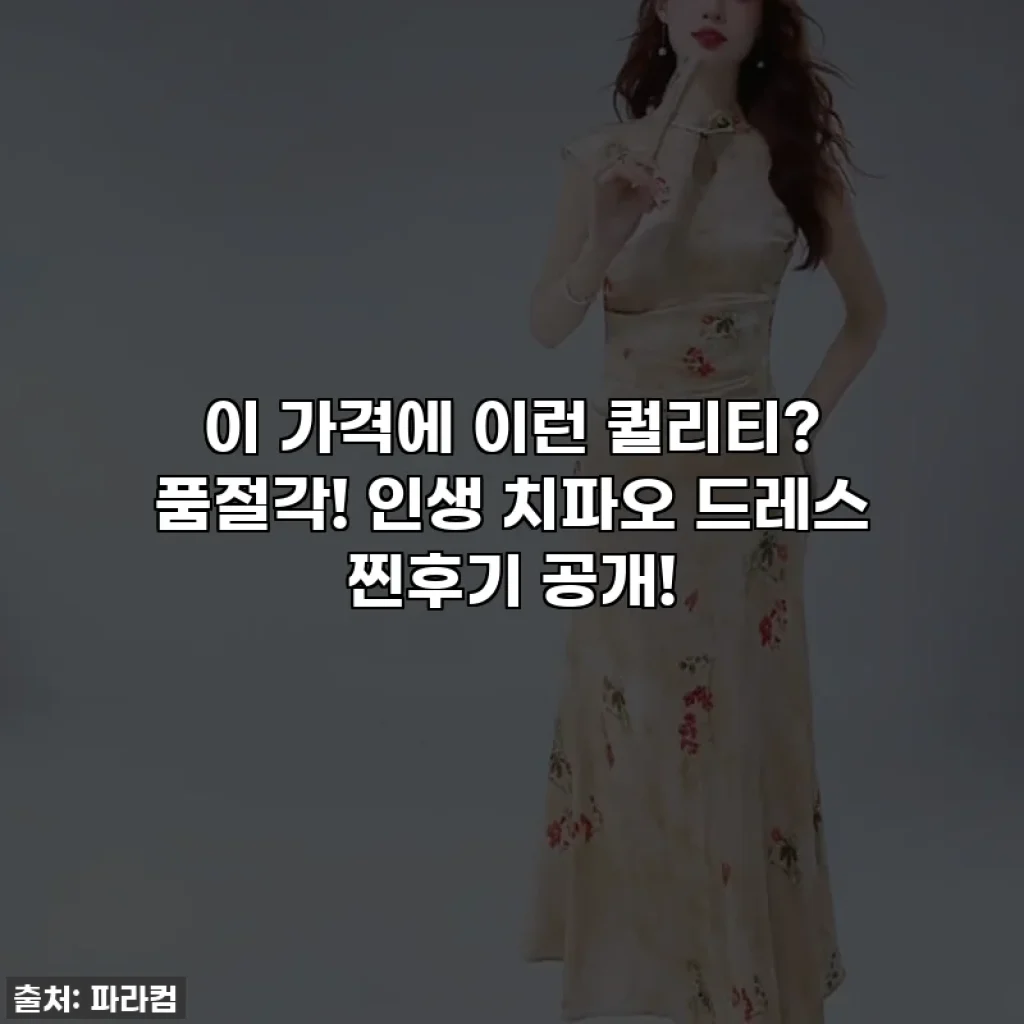 이 가격에 이런 퀄리티? 품절각! 인생 치파오 드레스 찐후기 공개!