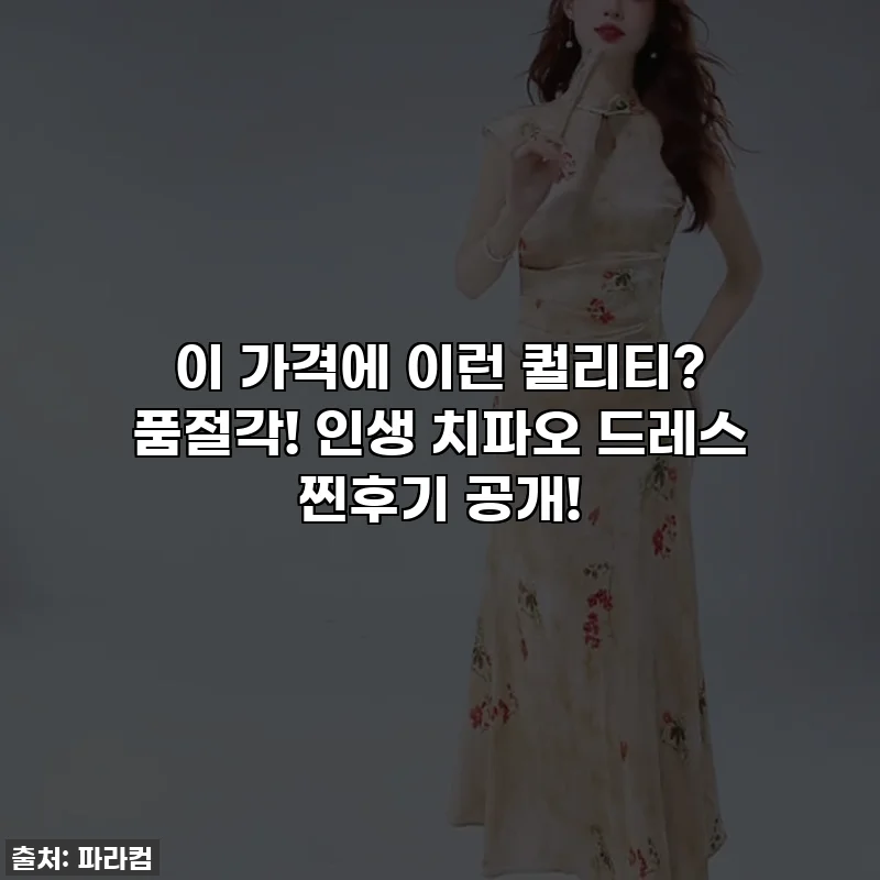 이 가격에 이런 퀄리티? 품절각! 인생 치파오 드레스 찐후기 공개!