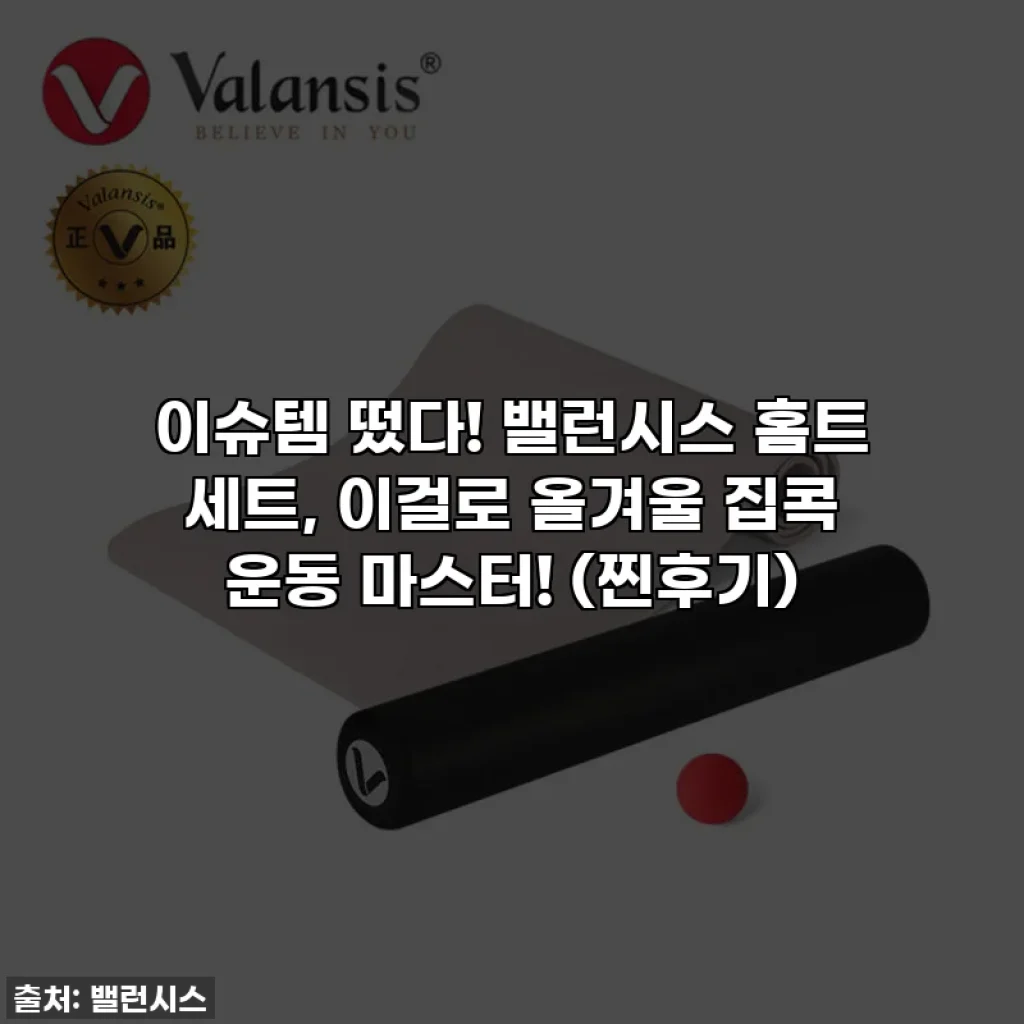 이슈템 떴다! 밸런시스 홈트 세트, 이걸로 올겨울 집콕 운동 마스터! (찐후기)