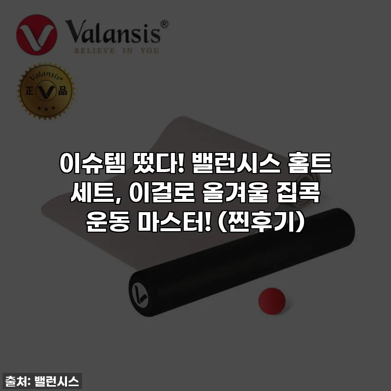 이슈템 떴다! 밸런시스 홈트 세트, 이걸로 올겨울 집콕 운동 마스터! (찐후기)