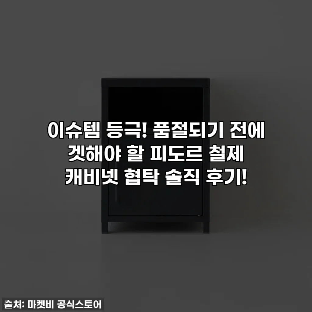 이슈템 등극! 품절되기 전에 겟해야 할 피도르 철제 캐비넷 협탁 솔직 후기!