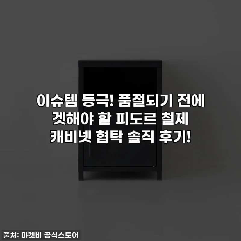 이슈템 등극! 품절되기 전에 겟해야 할 피도르 철제 캐비넷 협탁 솔직 후기!