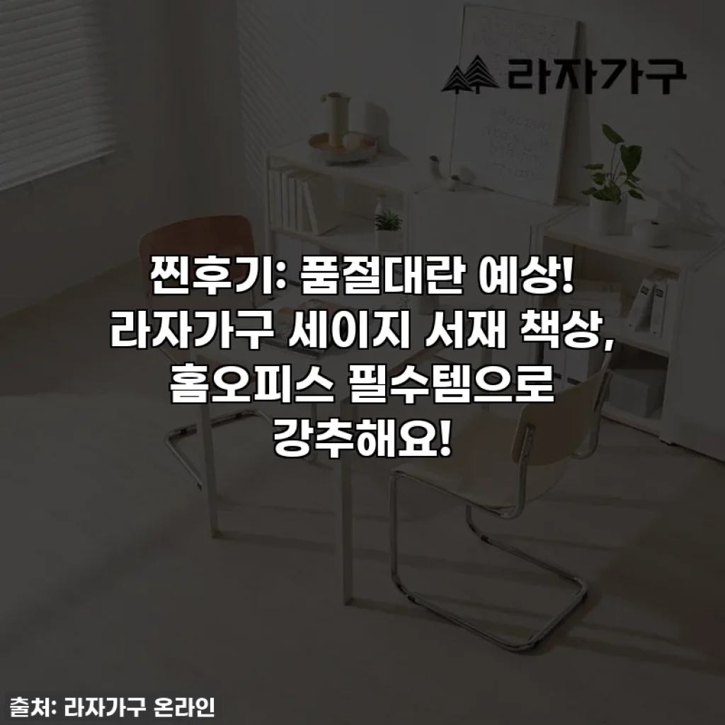 찐후기: 품절대란 예상! 라자가구 세이지 서재 책상, 홈오피스 필수템으로 강추해요!