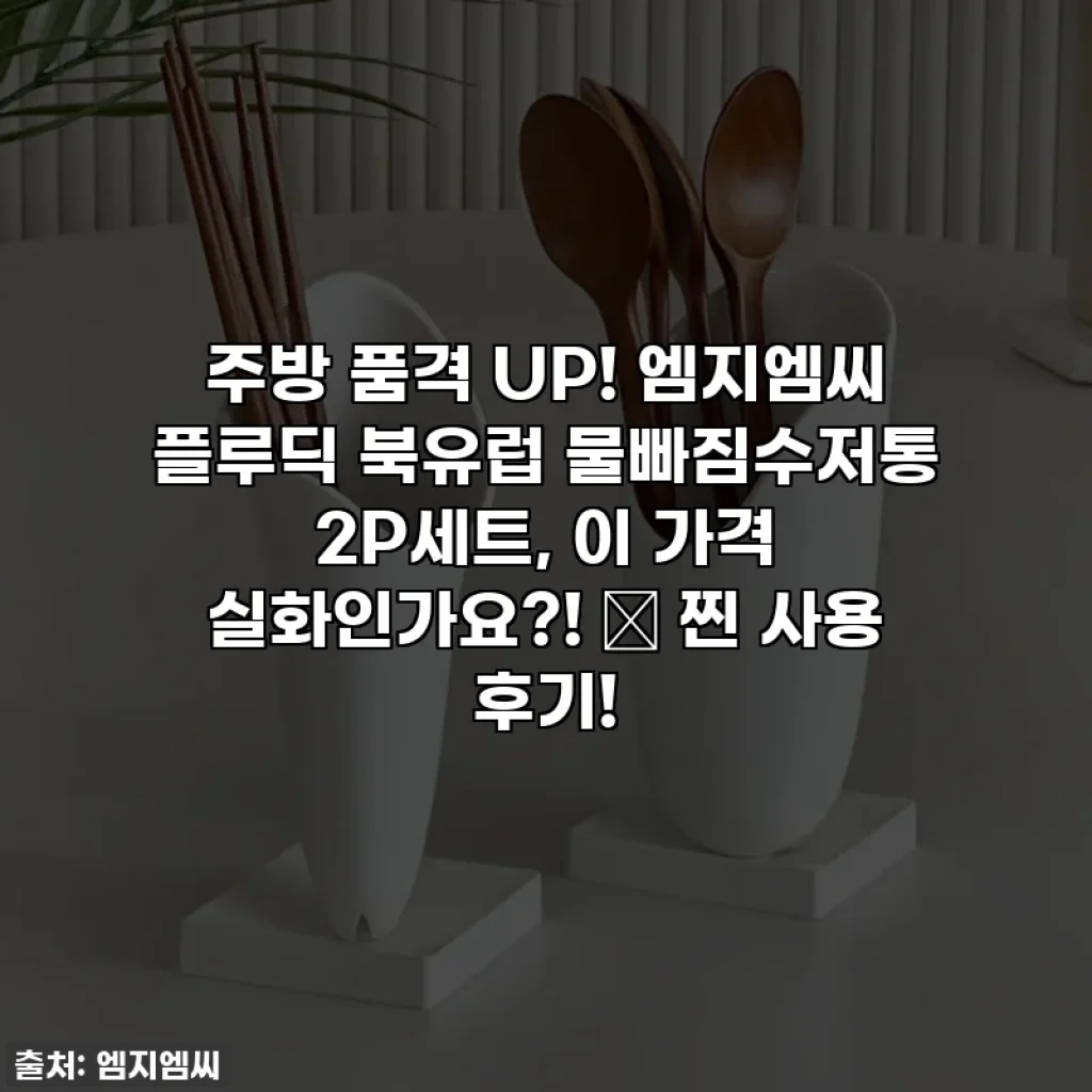 주방 품격 UP! 엠지엠씨 플루딕 북유럽 물빠짐수저통 2P세트, 이 가격 실화인가요?! ✨ 찐 사용 후기!