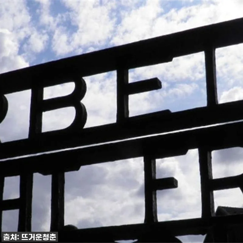 뮌헨 여행의 깊이를 더하다: 독일 다 관련 이미지 1