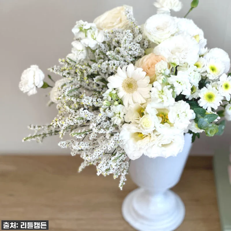 리틀캠든 최애컬러 생화 꽃구독! 찐후 관련 이미지 1