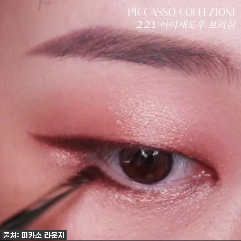 [피카소꼴레지오니] 221 아이섀도우 관련 이미지 2