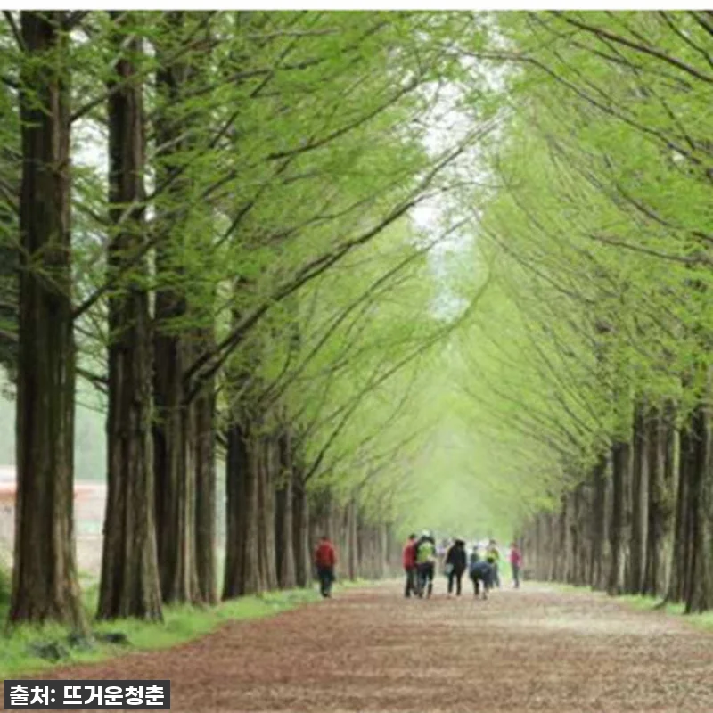 🚨역대급 99% 할인 폭탄🚨 한국 차 관련 이미지 2