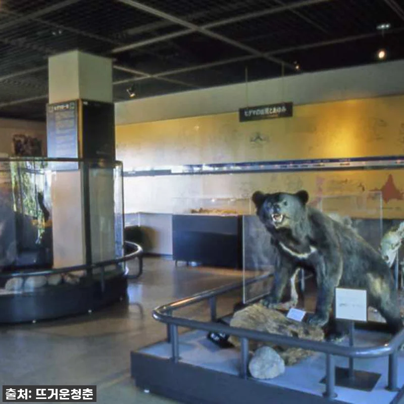 일본 홋카이도 노보리베츠 베어파크 입 관련 이미지 2