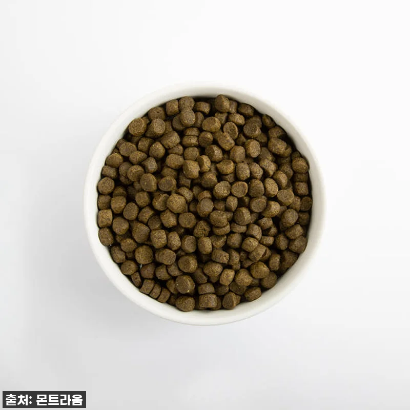 이슈템 떴다! 찐후기: 우리 강아지 관련 이미지 3