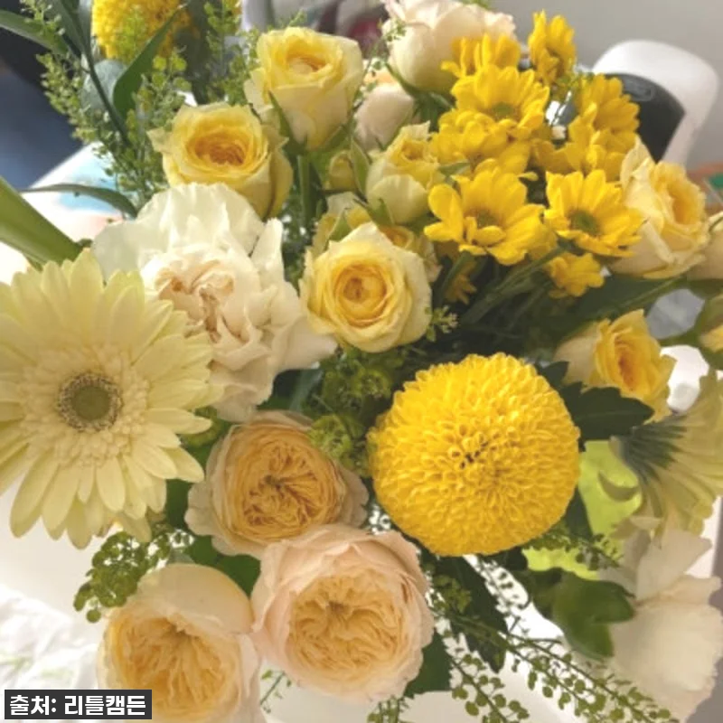 리틀캠든 최애컬러 생화 꽃구독! 찐후 관련 이미지 3