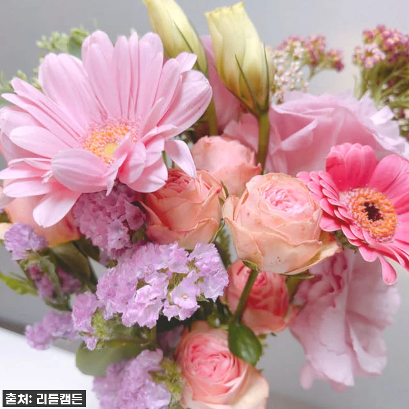 리틀캠든 최애컬러 생화 꽃구독! 찐후 관련 이미지 4