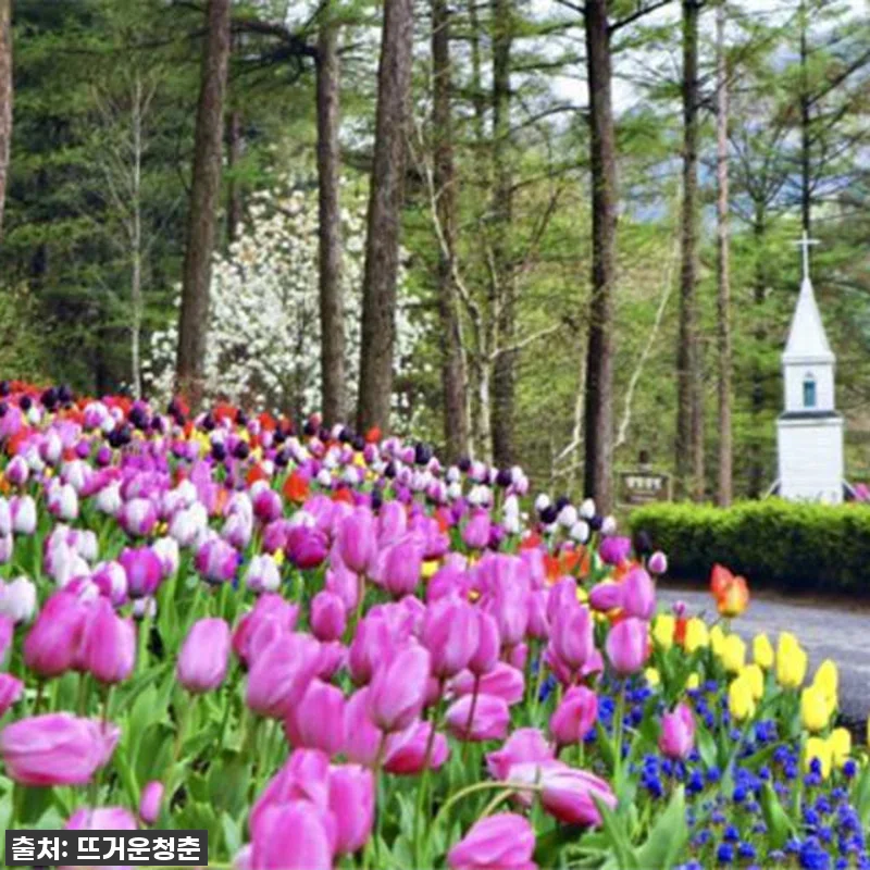 🚨역대급 99% 할인 폭탄🚨 한국 차 관련 이미지 4