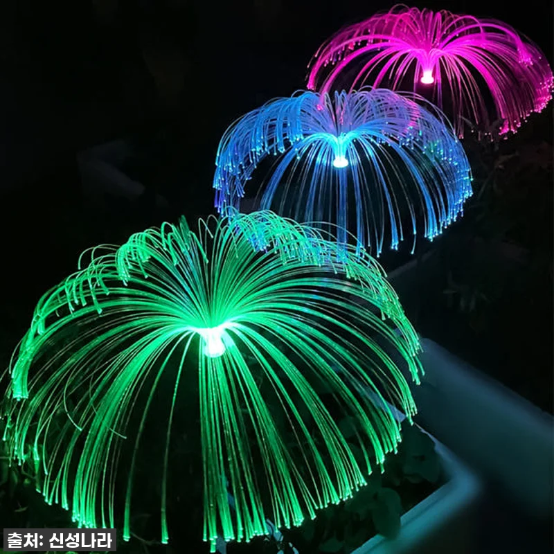 찐후기! 우리 집 정원을 빛낸 감성템 관련 이미지 5