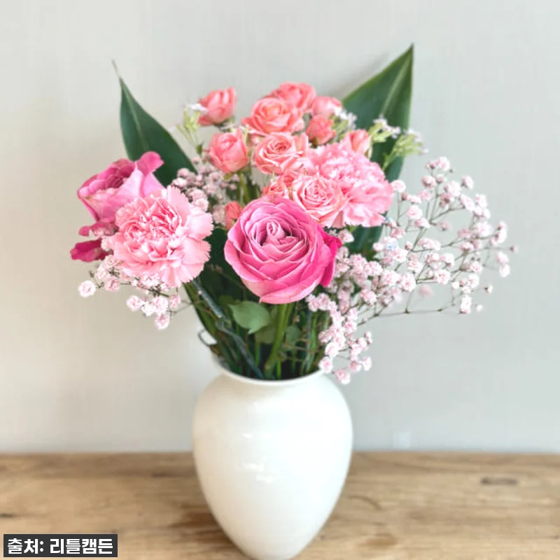 리틀캠든 최애컬러 생화 꽃구독! 찐후 관련 이미지 5