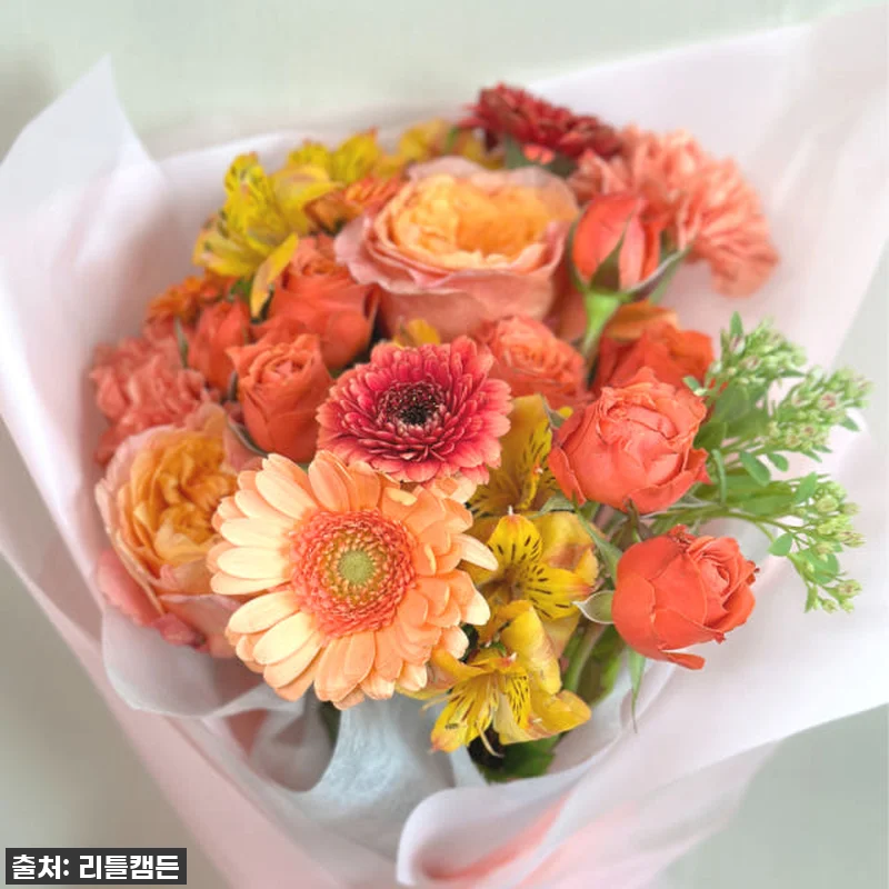 리틀캠든 최애컬러 생화 꽃구독! 찐후 관련 이미지 6