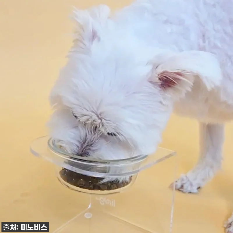 이슈템! 페노비스 가수분해 시니어 사 관련 이미지 7