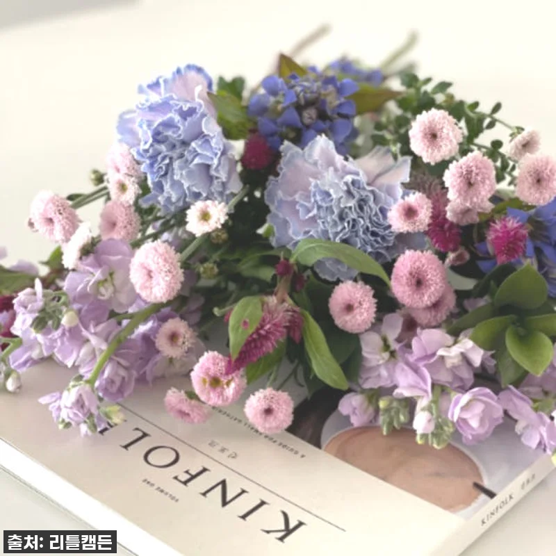 리틀캠든 최애컬러 생화 꽃구독! 찐후 관련 이미지 8