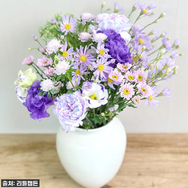 리틀캠든 최애컬러 생화 꽃구독! 찐후 관련 이미지 9