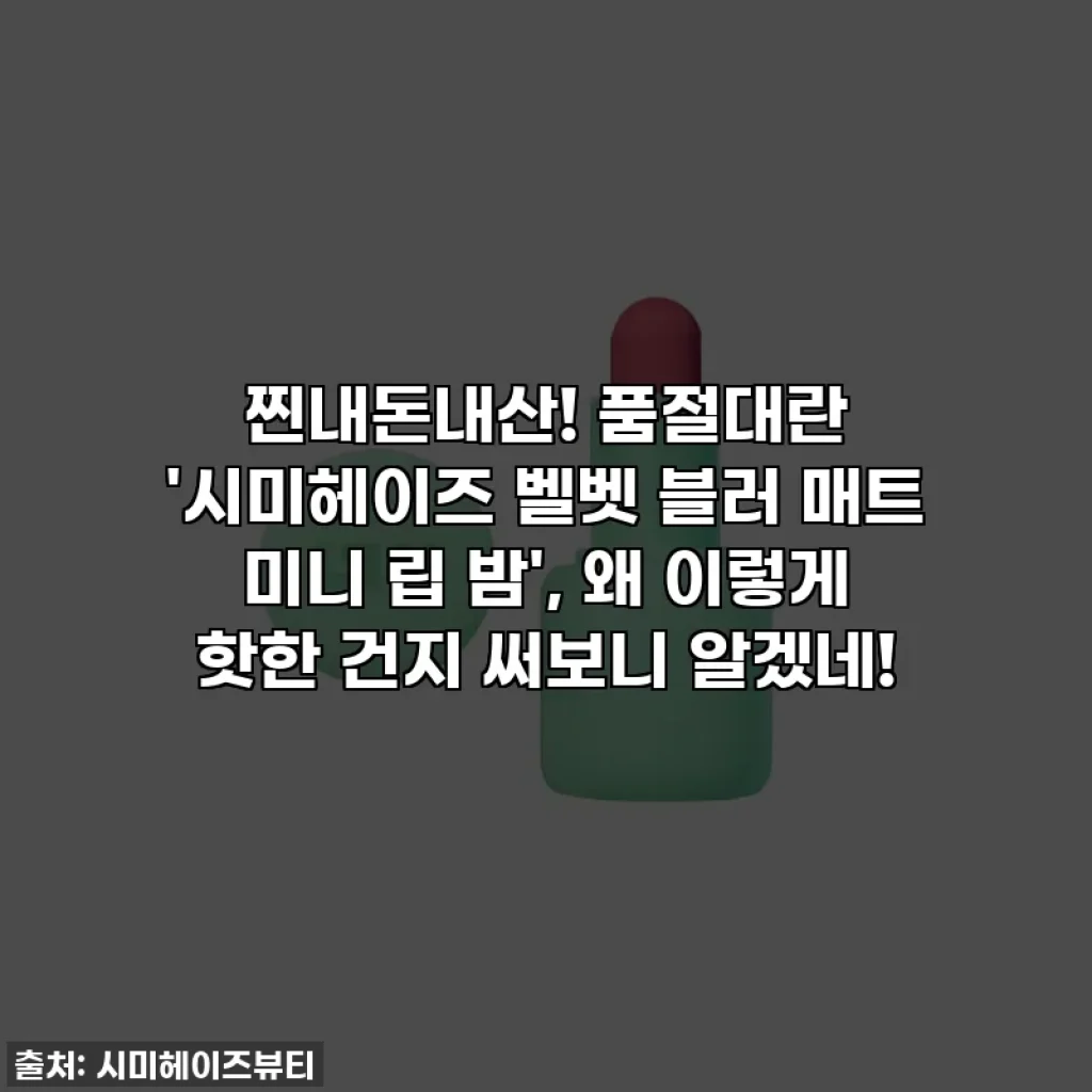 찐내돈내산! 품절대란 '시미헤이즈 벨벳 블러 매트 미니 립 밤', 왜 이렇게 핫한 건지 써보니 알겠네!