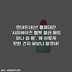찐내돈내산! 품절대란 '시미헤이즈 벨벳 블러 매트 미니 립 밤', 왜 이렇게 핫한 건지 써보니 알겠네!