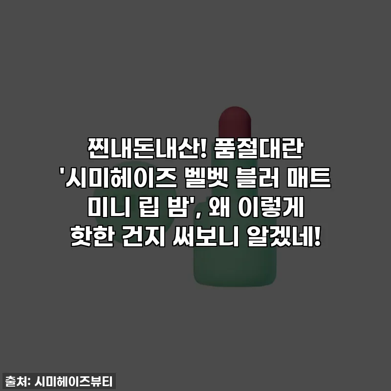 찐내돈내산! 품절대란 '시미헤이즈 벨벳 블러 매트 미니 립 밤', 왜 이렇게 핫한 건지 써보니 알겠네!