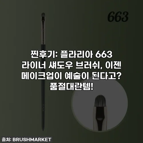 찐후기: 플라리아 663 라이너 섀도우 브러쉬, 이젠 메이크업이 예술이 된다고? 품절대란템!