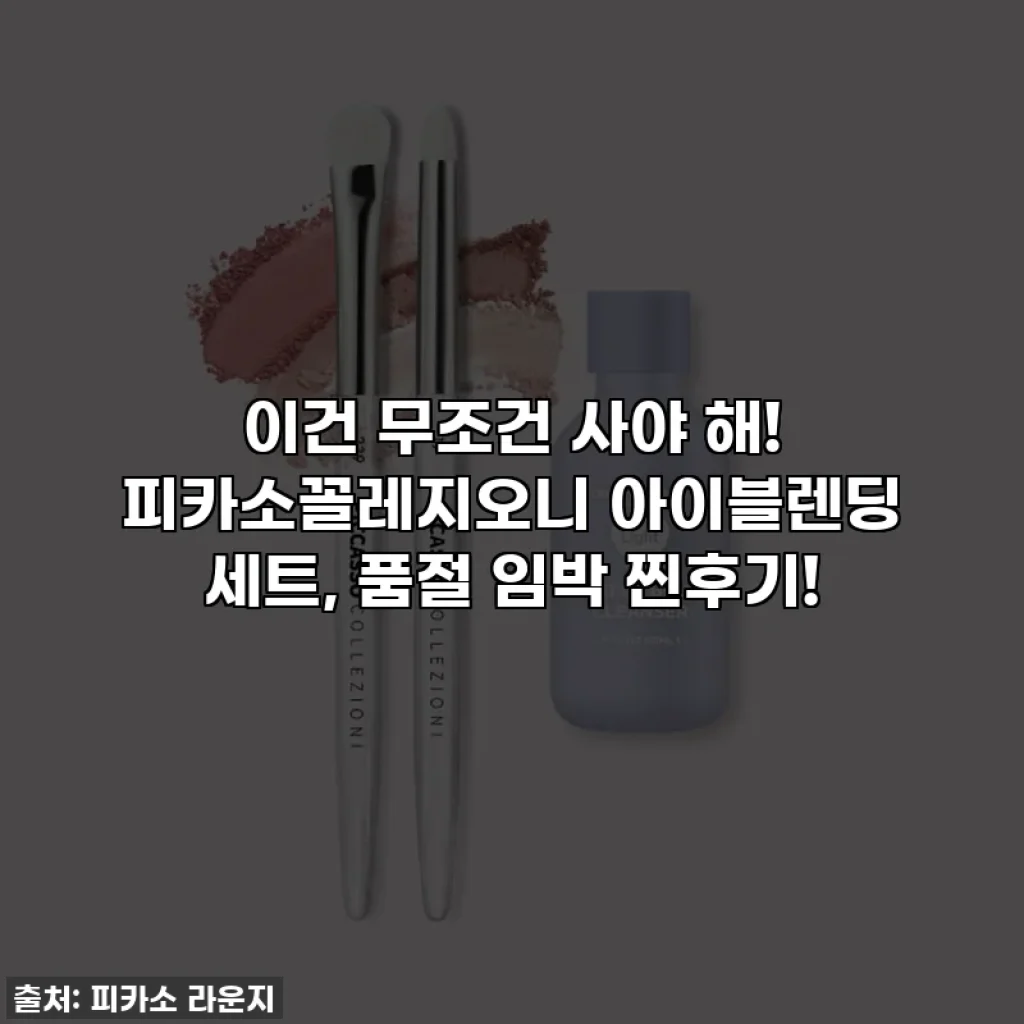 이건 무조건 사야 해! 피카소꼴레지오니 아이블렌딩 세트, 품절 임박 찐후기!