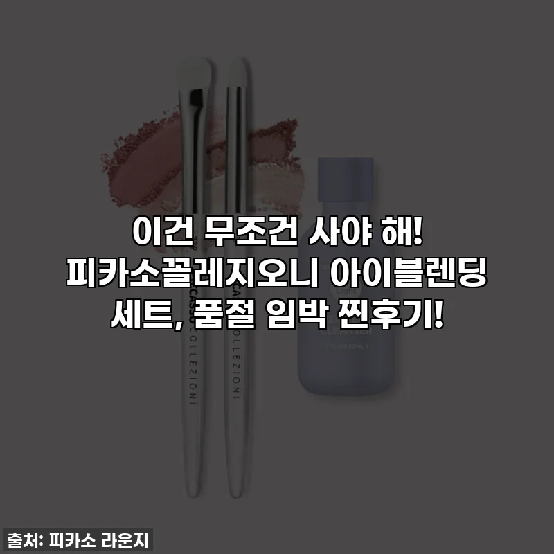 이건 무조건 사야 해! 피카소꼴레지오니 아이블렌딩 세트, 품절 임박 찐후기!