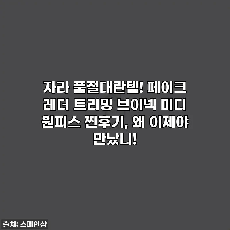 자라 품절대란템! 페이크 레더 트리밍 브이넥 미디 원피스 찐후기, 왜 이제야 만났니!