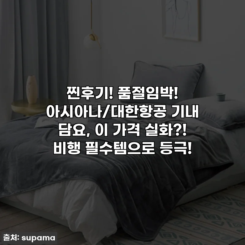 찐후기! 품절임박! 아시아나/대한항공 기내 담요, 이 가격 실화?! 비행 필수템으로 등극!