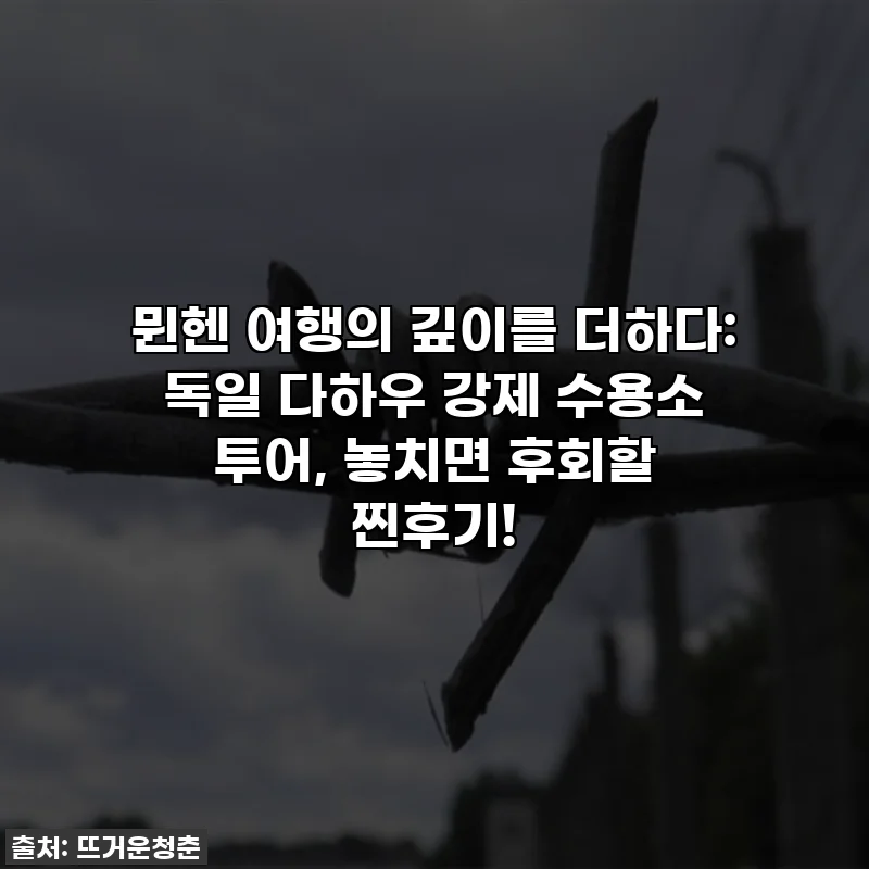 뮌헨 여행의 깊이를 더하다: 독일 다하우 강제 수용소 투어, 놓치면 후회할 찐후기!