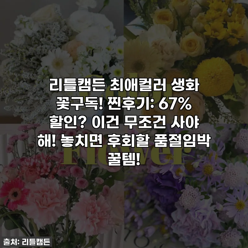리틀캠든 최애컬러 생화 꽃구독! 찐후기: 67% 할인? 이건 무조건 사야 해! 놓치면 후회할 품절임박 꿀템!