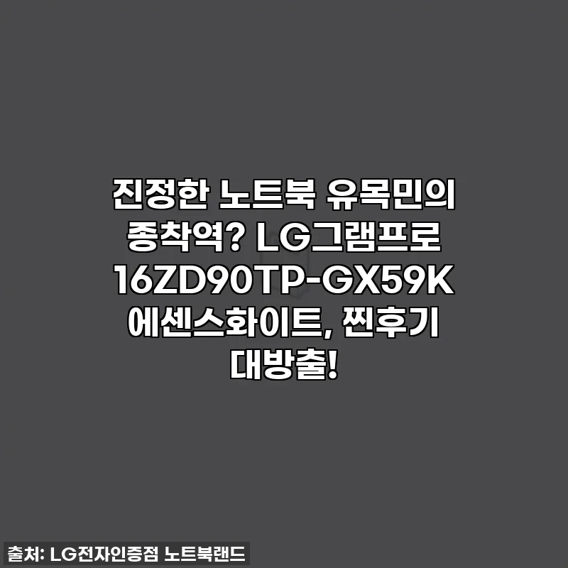진정한 노트북 유목민의 종착역? LG그램프로 16ZD90TP-GX59K 에센스화이트, 찐후기 대방출!