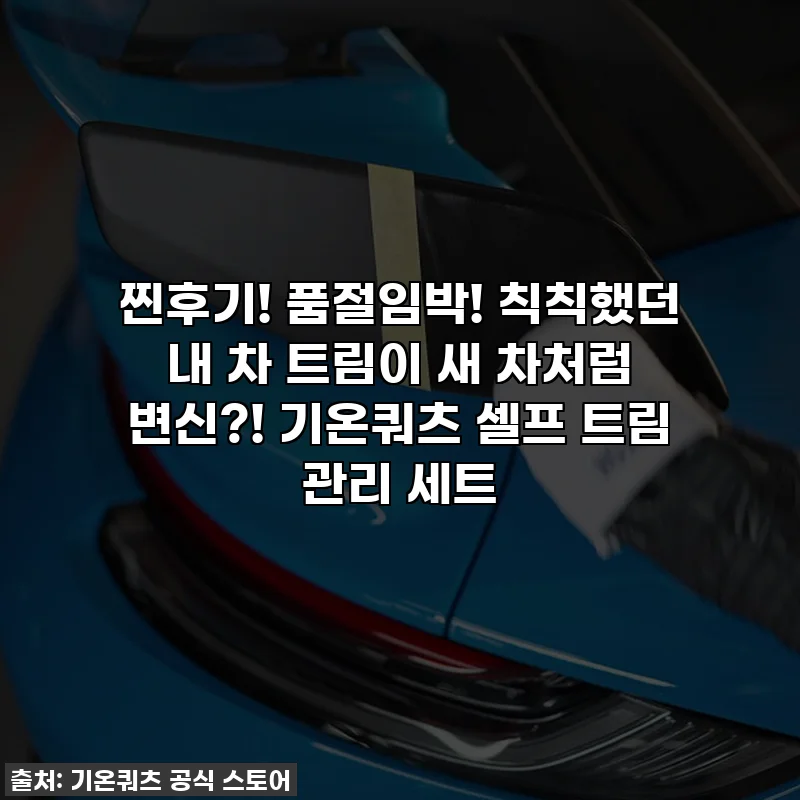 찐후기! 품절임박! 칙칙했던 내 차 트림이 새 차처럼 변신?! 기온쿼츠 셀프 트림 관리 세트
