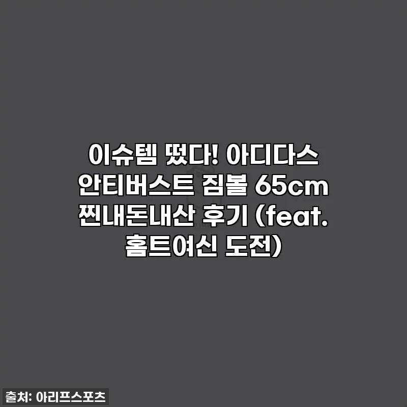 이슈템 떴다! 아디다스 안티버스트 짐볼 65cm 찐내돈내산 후기 (feat. 홈트여신 도전)