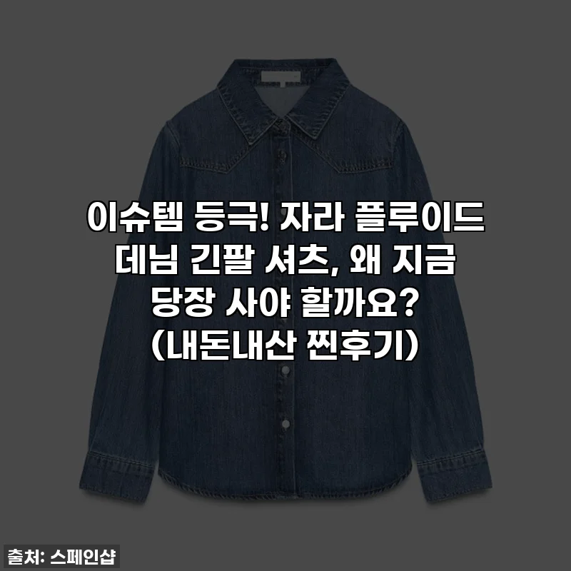 이슈템 등극! 자라 플루이드 데님 긴팔 셔츠, 왜 지금 당장 사야 할까요? (내돈내산 찐후기)