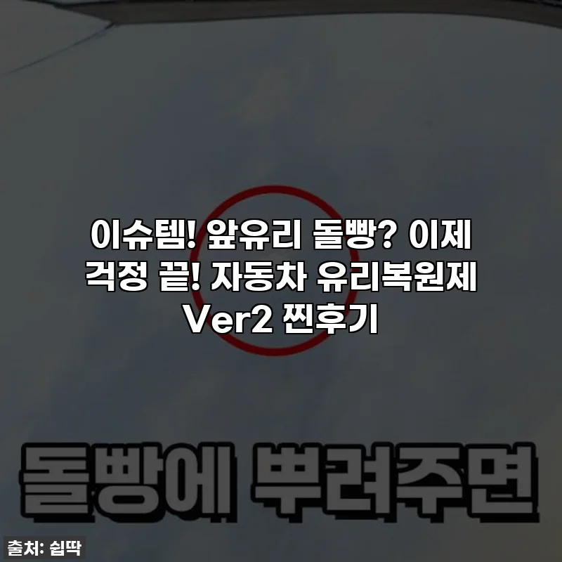 이슈템! 앞유리 돌빵? 이제 걱정 끝! 자동차 유리복원제 Ver2 찐후기