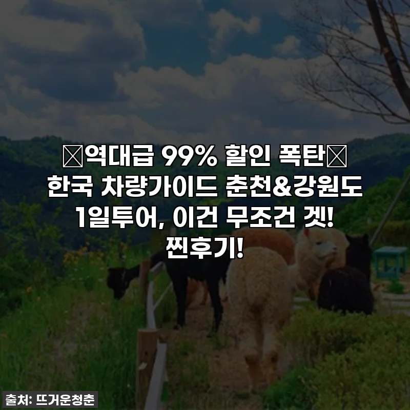 🚨역대급 99% 할인 폭탄🚨 한국 차량가이드 춘천&강원도 1일투어, 이건 무조건 겟! 찐후기!