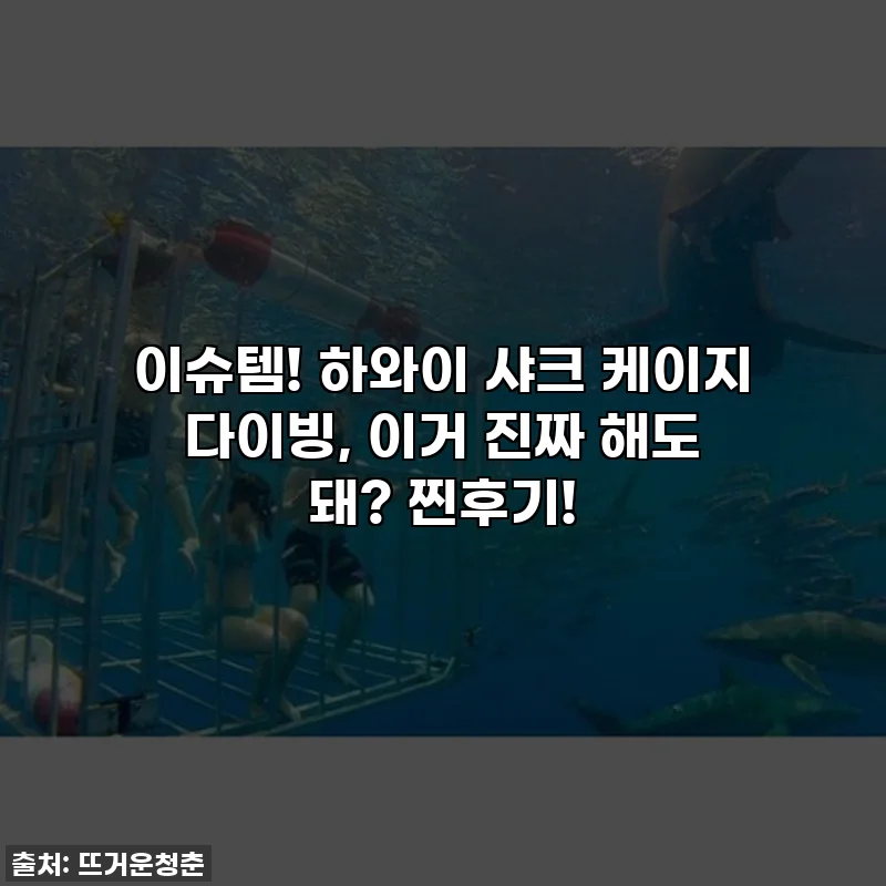 이슈템! 하와이 샤크 케이지 다이빙, 이거 진짜 해도 돼? 찐후기!
