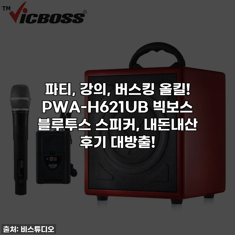 파티, 강의, 버스킹 올킬! PWA-H621UB 빅보스 블루투스 스피커, 내돈내산 후기 대방출!