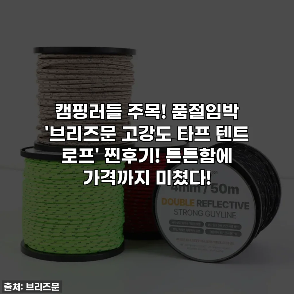 캠핑러들 주목! 품절임박 '브리즈문 고강도 타프 텐트 로프' 찐후기! 튼튼함에 가격까지 미쳤다!
