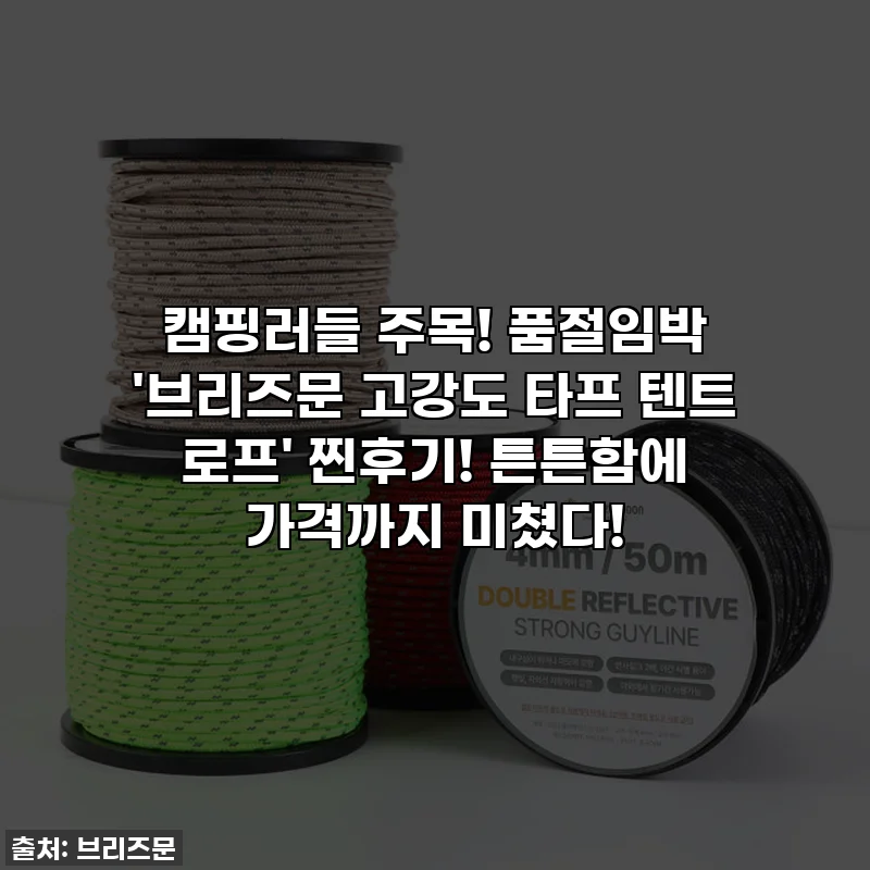 캠핑러들 주목! 품절임박 '브리즈문 고강도 타프 텐트 로프' 찐후기! 튼튼함에 가격까지 미쳤다!