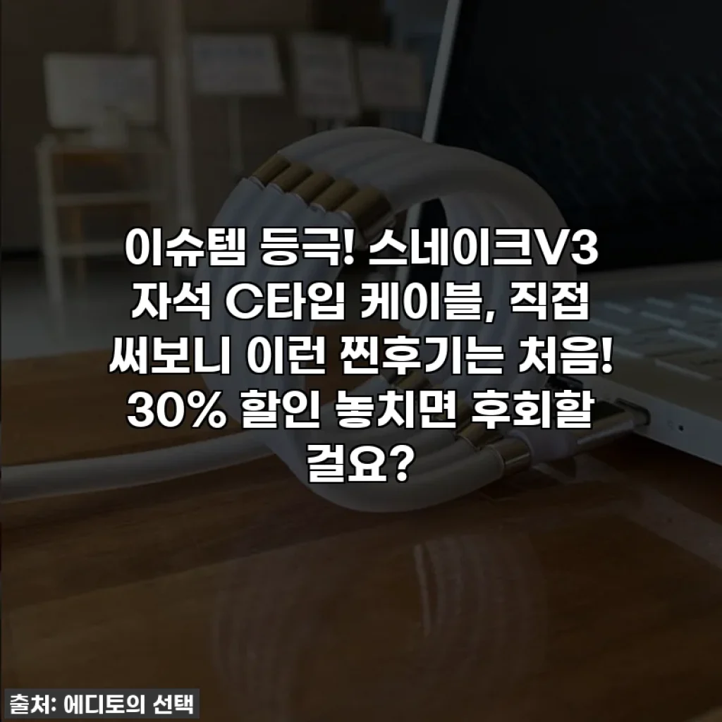 이슈템 등극! 스네이크V3 자석 C타입 케이블, 직접 써보니 이런 찐후기는 처음! 30% 할인 놓치면 후회할 걸요?
