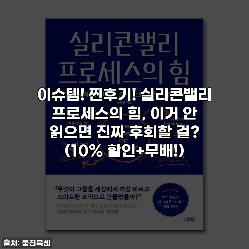 이슈템! 찐후기! 실리콘밸리 프로세스의 힘, 이거 안 읽으면 진짜 후회할 걸? (10% 할인+무배!)